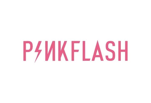 بنك فلاش Pinkflash